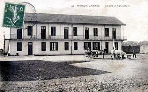 ALGER - MAISON-CARREE - Ecole Nationale d'Agriculture (19)